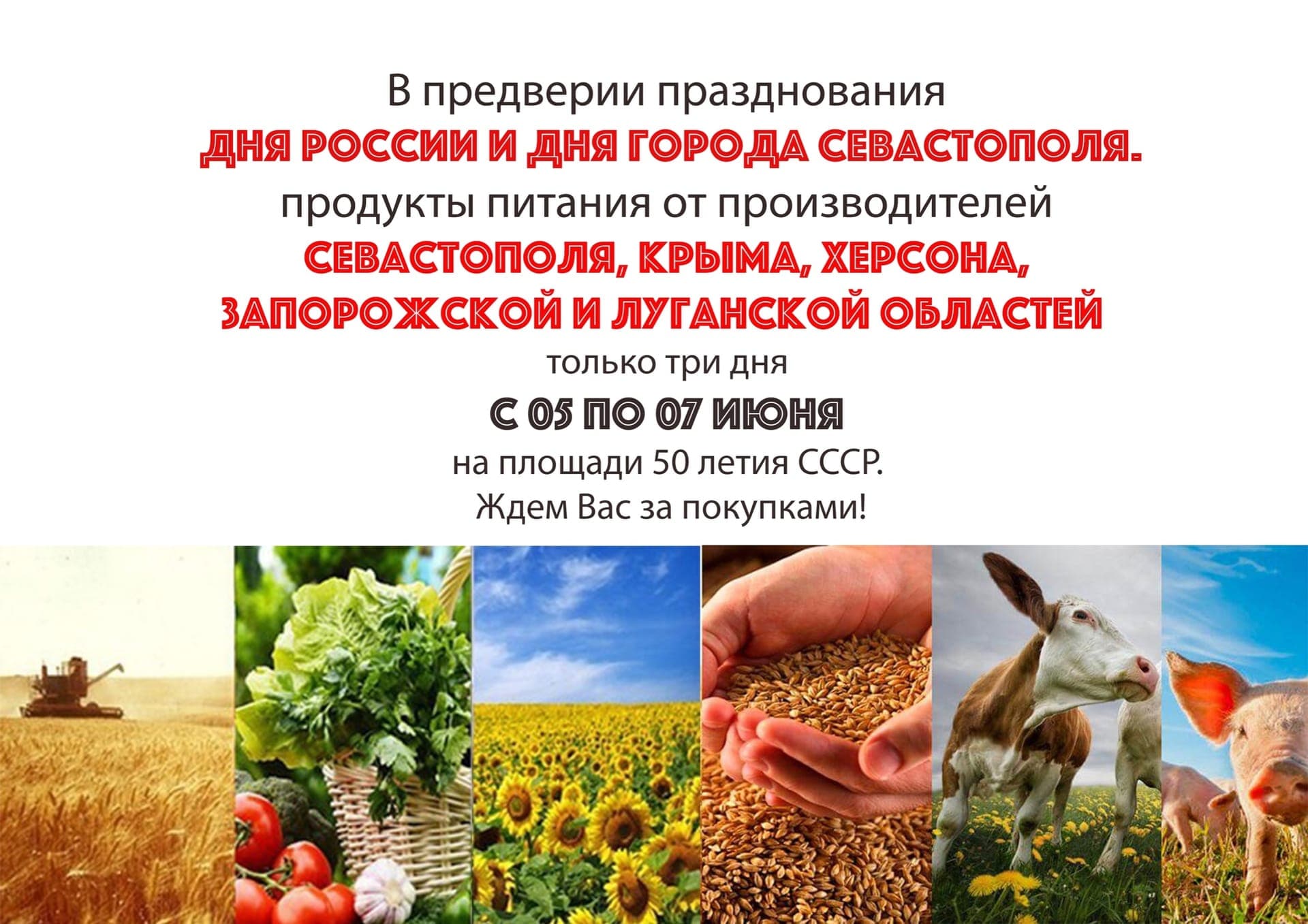 В преддверии празднования Дня России и Дня города