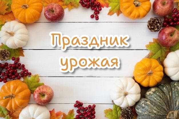 Большая продуктовая ярмарка на площади 50-летия СССР (ЦУМ)