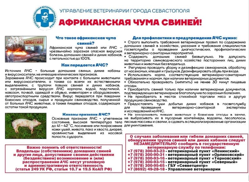 Памятка  для граждан, занимающихся содержанием и разведением свиней