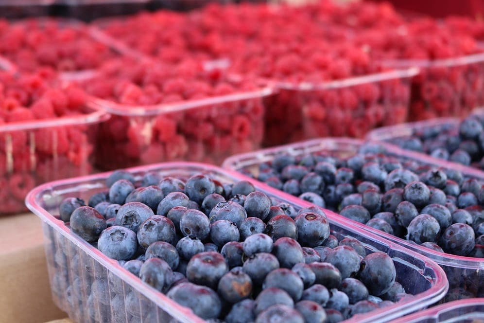 blueberry