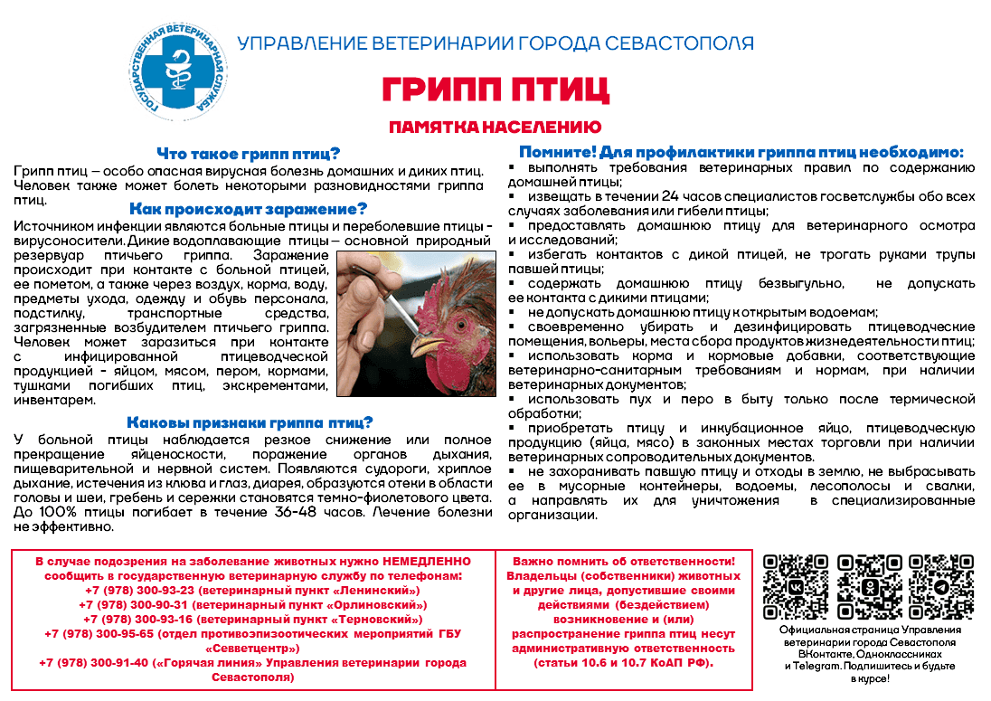 Памятка по профилактике гриппа птиц